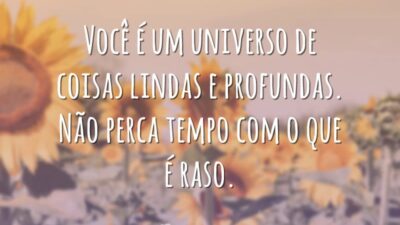 Você é um universo