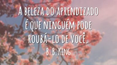 A beleza do aprendizado é que ninguém pode roubá-lo de você.