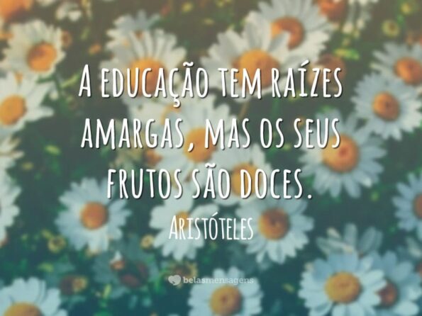 40 frases de aprendizado que são sábias lições de vida