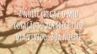 A noite chega e o meu coração só agradece pelo dia vivido. Boa noite!