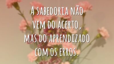 A sabedoria não vem do acerto, mas do aprendizado com os erros.