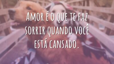 Amor é o que te faz sorrir quando você está cansado.