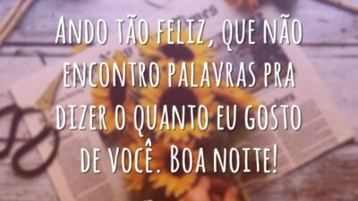 Ando tão feliz, que não encontro palavras pra dizer o quanto eu gosto de você. Boa noite!