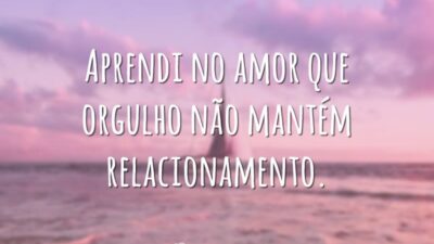 Aprendi no amor que orgulho não mantém relacionamento.