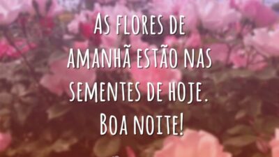 As flores de amanhã estão nas sementes de hoje. Boa noite!