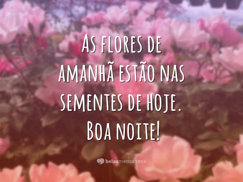 As flores de amanhã estão nas sementes de hoje. Boa noite!