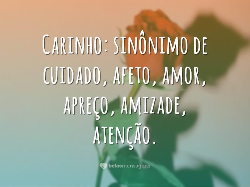 Carinho: sinônimo de cuidado, afeto, amor, apreço, amizade, atenção.