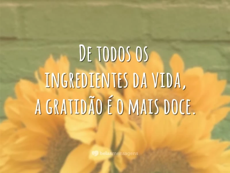 De todos os ingredientes da vida, a gratidão é o mais doce.