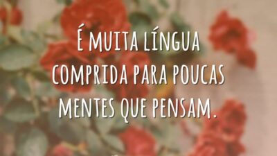 É muita língua comprida para poucas mentes que pensam.