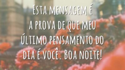Esta mensagem é a prova de que meu último pensamento do dia é você. Boa noite!