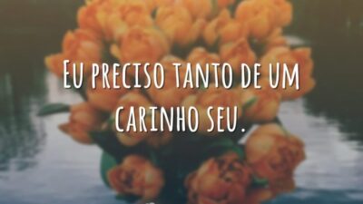 Eu preciso tanto de um carinho seu.