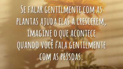 Fale gentilmente