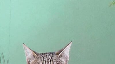 50 frases bonitas para status que vão contagiar sua timeline