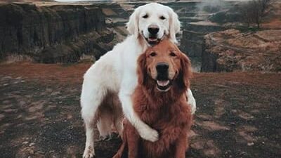 30 frases de afeto e carinho que são como um abraço apertado