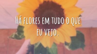 Há flores em tudo o que eu vejo.