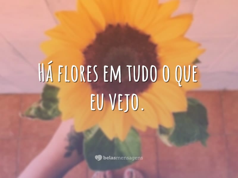 Há flores em tudo o que eu vejo.