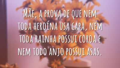 Mãe, a prova de que nem toda heroína usa capa, nem toda rainha possui coroa e nem todo anjo possui asas.