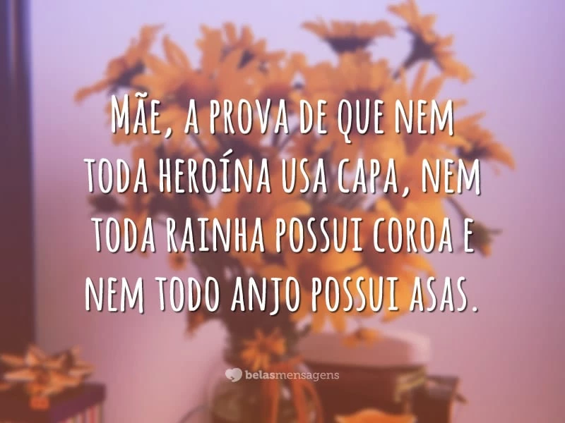 Mãe, a prova de que nem toda heroína usa capa, nem toda rainha possui coroa e nem todo anjo possui asas.