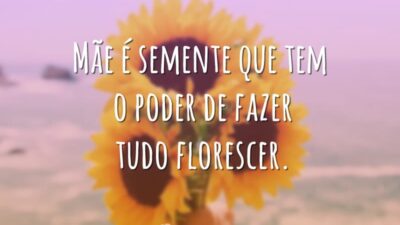 Mãe é semente que tem o poder de fazer tudo florescer.