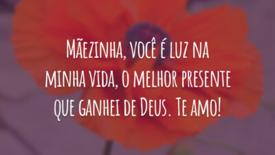 Mãezinha, você é luz na minha vida, o melhor presente que ganhei de Deus. Te amo!