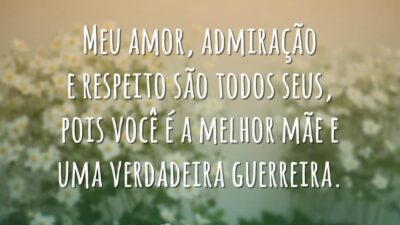 Meu amor, admiração e respeito são todos seus, pois você é a melhor mãe e uma verdadeira guerreira.