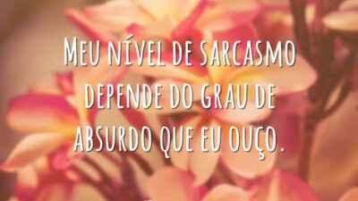 Meu nível de sarcasmo depende do grau de absurdo que eu ouço.