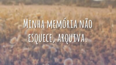 Minha memória não esquece, arquiva.