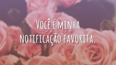 Você é minha notificação favorita.