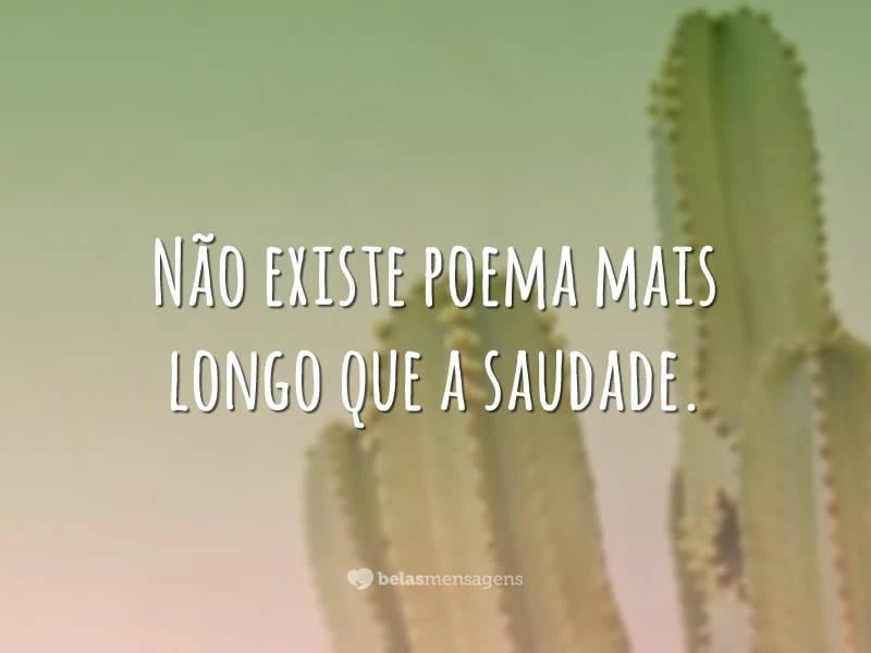 Não existe poema mais longo que a saudade.