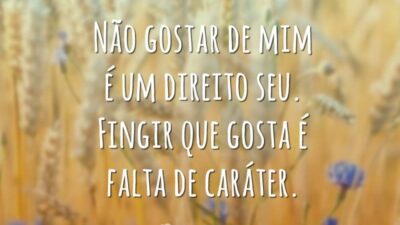 Não gostar de mim é um direito seu. Fingir que gosta é falta de caráter.