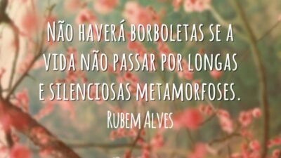 Não haverá borboletas se a vida não passar por longas e silenciosas metamorfoses.