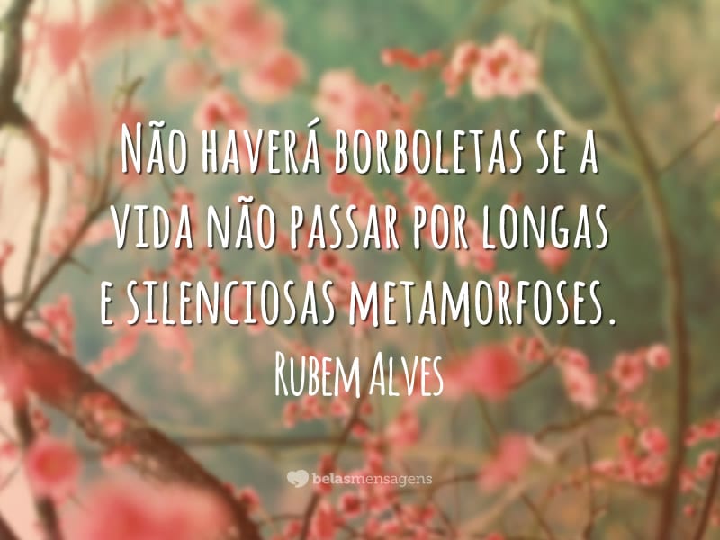 Não haverá borboletas se a vida não passar por longas e silenciosas metamorfoses.