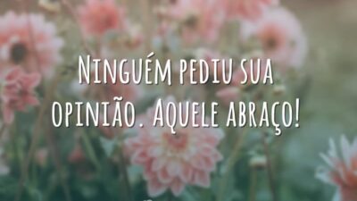 Ninguém pediu sua opinião. Aquele abraço!