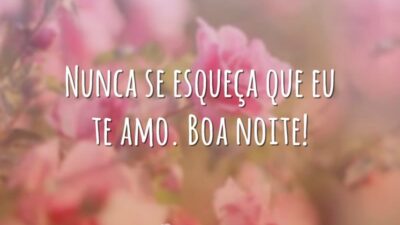 Nunca se esqueça que eu te amo. Boa noite!