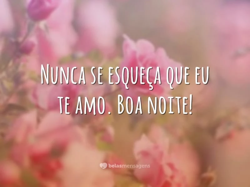 Nunca se esqueça que eu te amo. Boa noite!