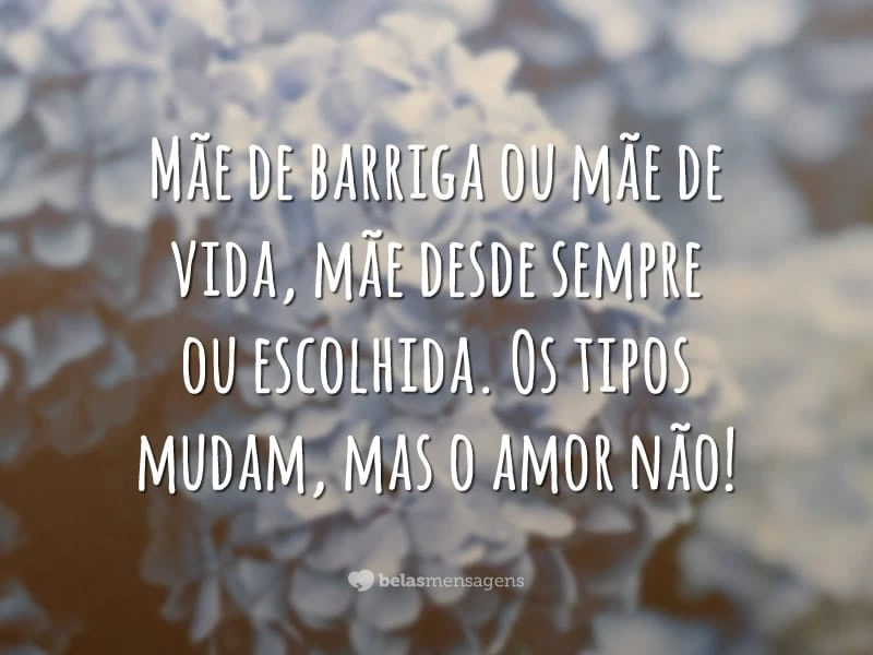 Mãe de barriga ou mãe de vida, mãe desde sempre ou escolhida. Os tipos mudam, mas o amor não!