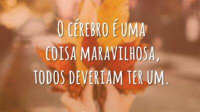 O cérebro é uma coisa maravilhosa, todos deveriam ter um.