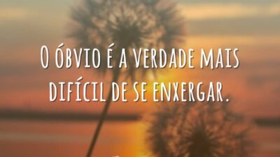 O óbvio é a verdade mais difícil de se enxergar.