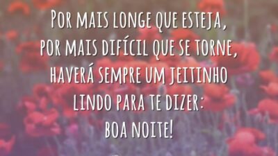 Por mais longe que esteja, por mais difícil que se torne, haverá sempre um jeitinho lindo para te dizer: boa noite!