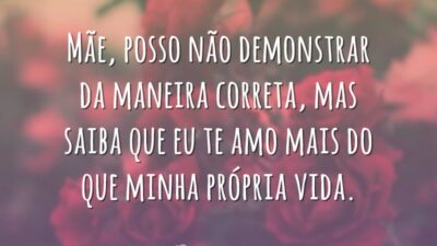 Mãe, posso não demonstrar da maneira correta, mas saiba que eu te amo mais que minha própria vida.