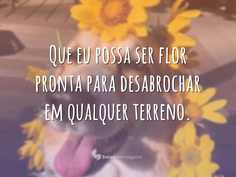 Que eu possa ser flor pronta para desabrochar em qualquer terreno.