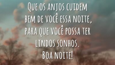 Que os anjos cuidem bem de você essa noite, para que você possa ter lindos sonhos. Boa noite!