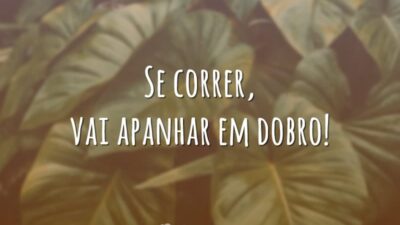 Se correr, vai apanhar em dobro!