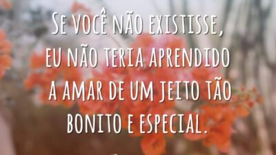 Se você não existisse, eu não teria aprendido a amar de um jeito tão bonito e especial.