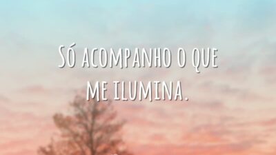 Só acompanho o que me ilumina.