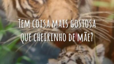 Tem coisa mais gostosa que cheirinho de mãe?