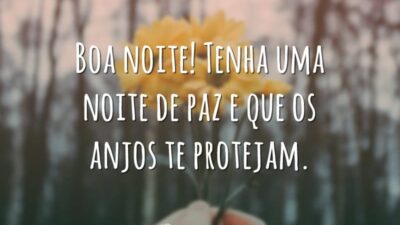 Boa noite! Tenha uma noite de paz e que os anjos te protejam.