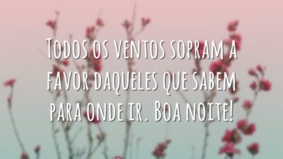 Todos os ventos sopram a favor daqueles que sabem para onde ir. Boa noite!