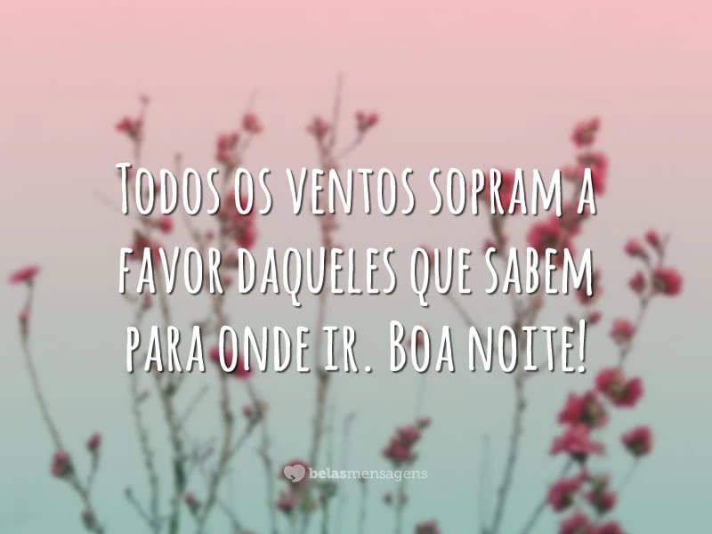 Todos os ventos sopram a favor daqueles que sabem para onde ir. Boa noite!