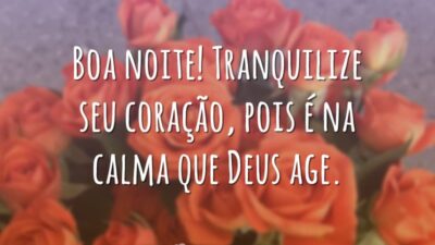 Boa noite! Tranquilize seu coração, pois é na calma que Deus age.